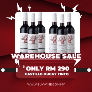 WH SALE CASTILLO DUCAY TINTO [750ML x6]